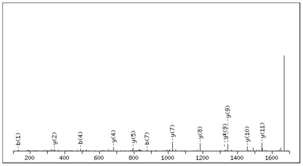 Two kinds of conotoxin peptides, their preparation method and application