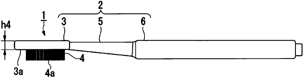 Handle body for toothbrush, its forming method and toothbrush