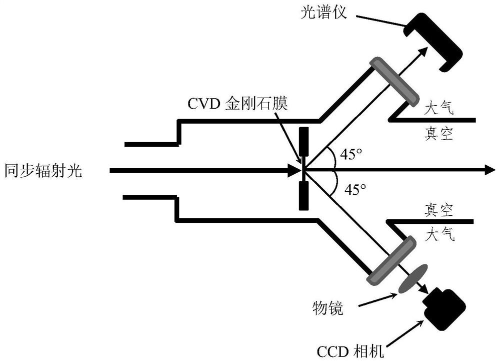 Detector and method for detecting beam position by using synchrotron radiation polarization