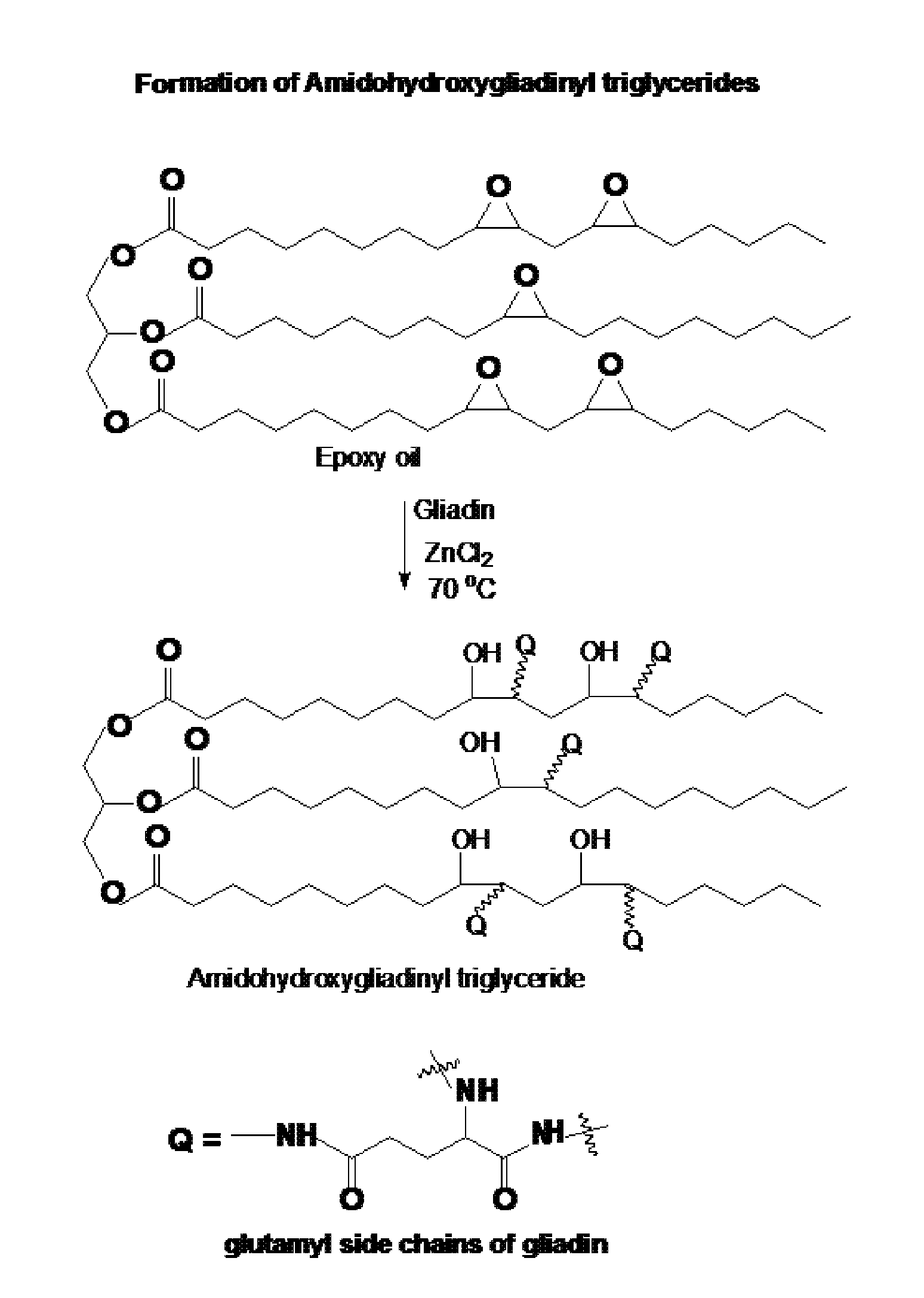 Elastomer product from epoxidized vegetable oil and gliadin