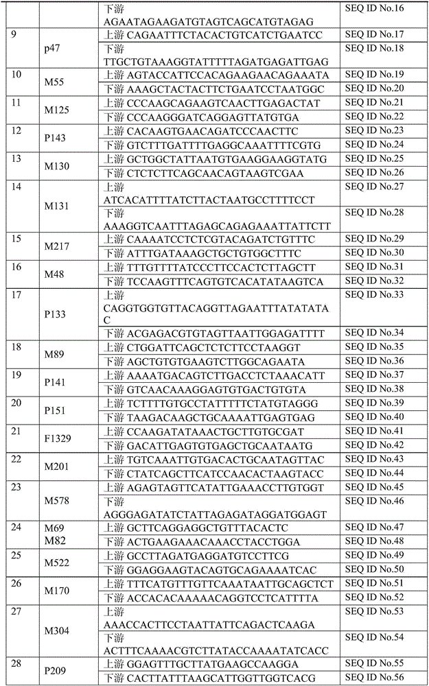 Forensic medicine II sequence testing kit based on 74 gama chromosome SNP genetic markers