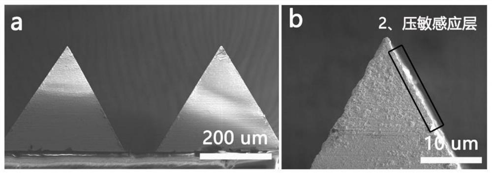 A kind of electronic skin with hierarchical pressure peak structure and preparation method thereof