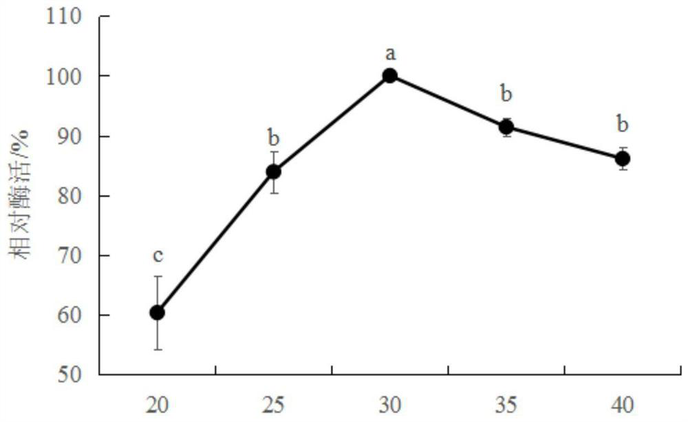 Bacillus subtilis strain sh21 producing chitinase, method for producing chitinase, microbial preparation and application