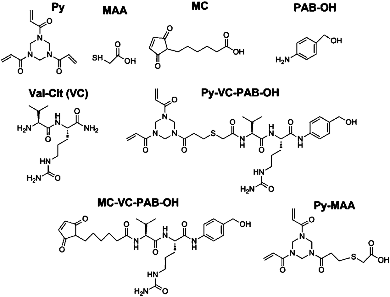 Anti-TRAILR2 antibody-toxin-conjugate and pharmaceutical application thereof in anti-tumor therapy