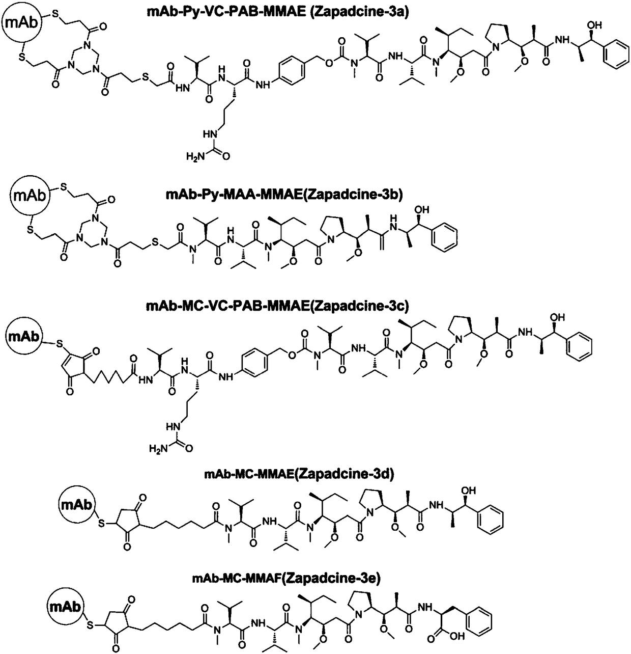 Anti-TRAILR2 antibody-toxin-conjugate and pharmaceutical application thereof in anti-tumor therapy