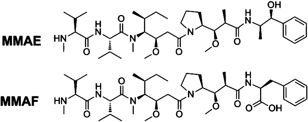 Anti-TRAILR2 antibody-toxin-conjugate and pharmaceutical application thereof in anti-tumor therapy