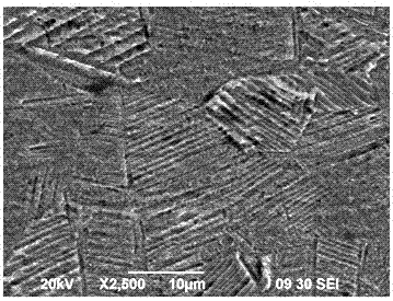 Steel with multi-scale twin-crystal structure and preparation method of steel