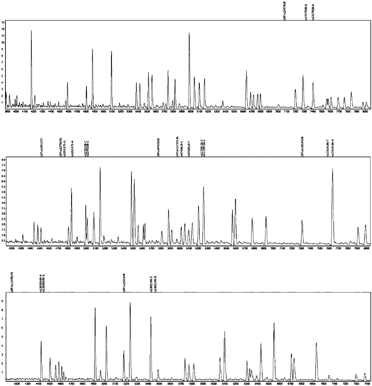 Primer combination for differentiating verapamil individualized medication types