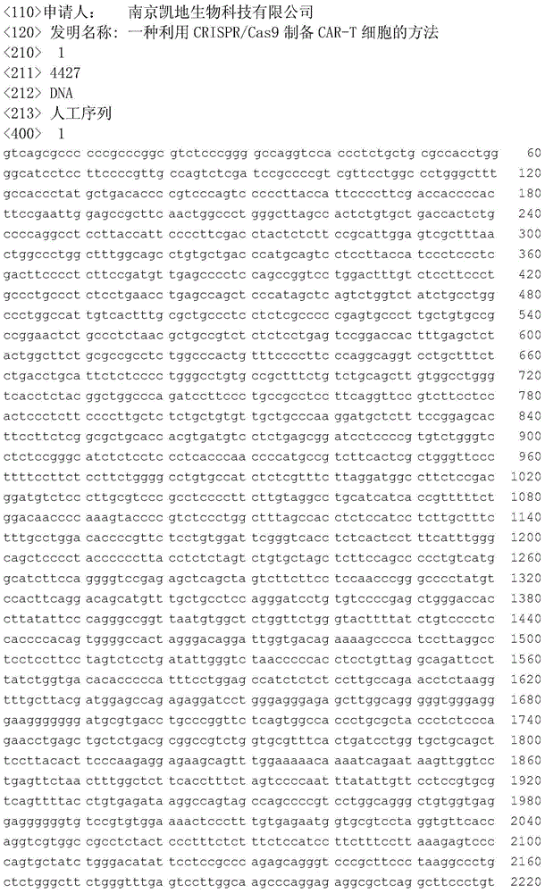 Method for preparing CAR-T cell by CRISPR/Cas9