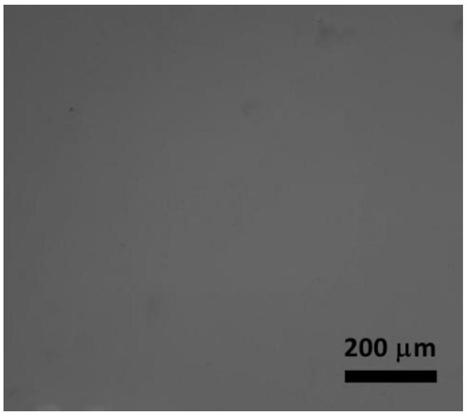 Preparation method of full-light-control azobenzene thin film surface reversible wrinkle microstructure