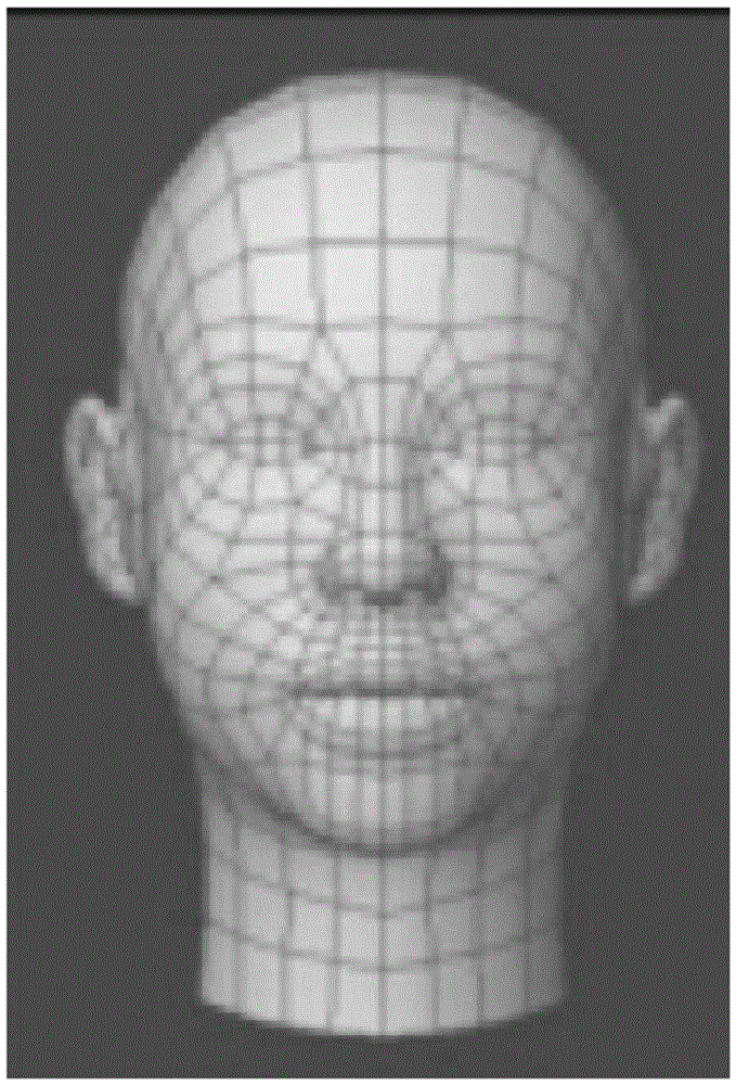 Transmission end device, server, system and method for transmitting scheduling humanoid doll image and information