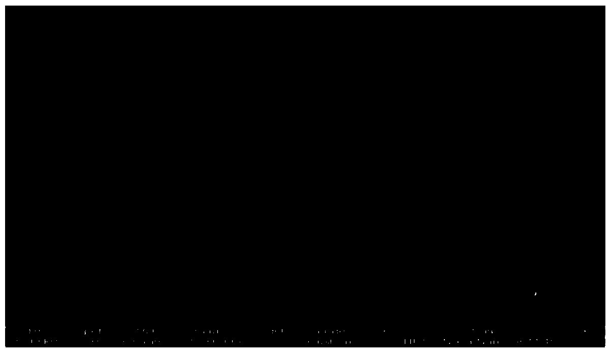 Novel paste electrolyte used for high-temperature molten salt battery and preparation method thereof