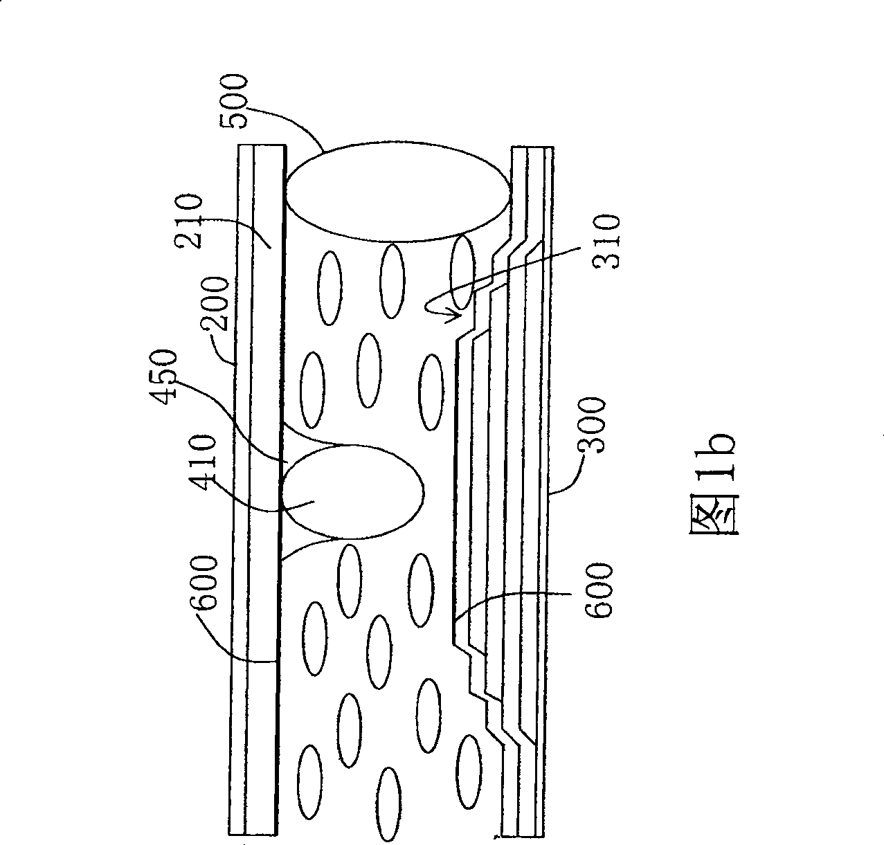 Display device induction structure and producing method thereof