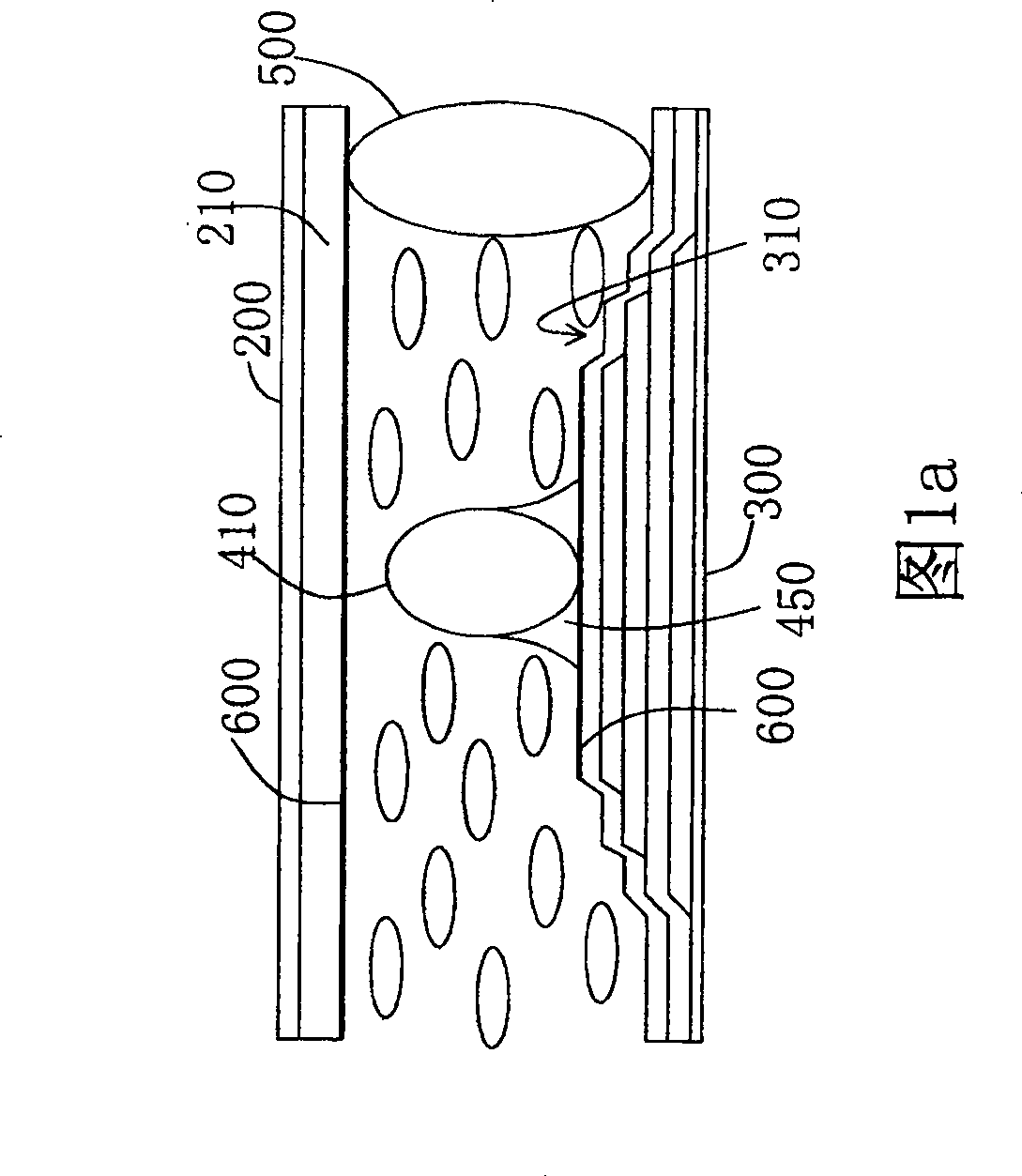 Display device induction structure and producing method thereof