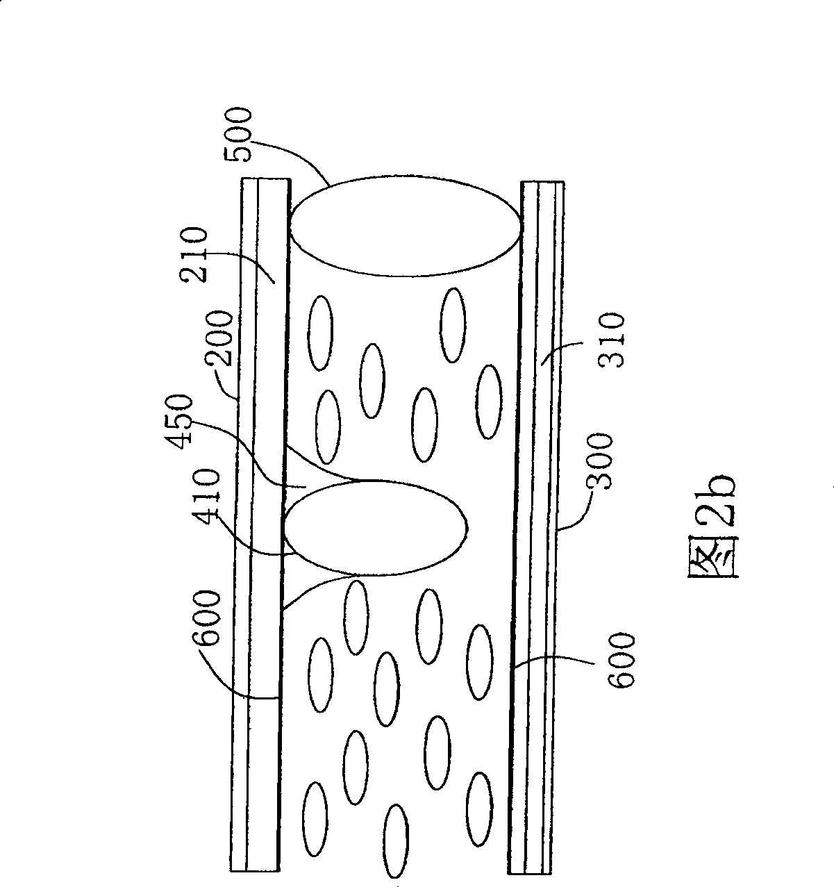 Display device induction structure and producing method thereof