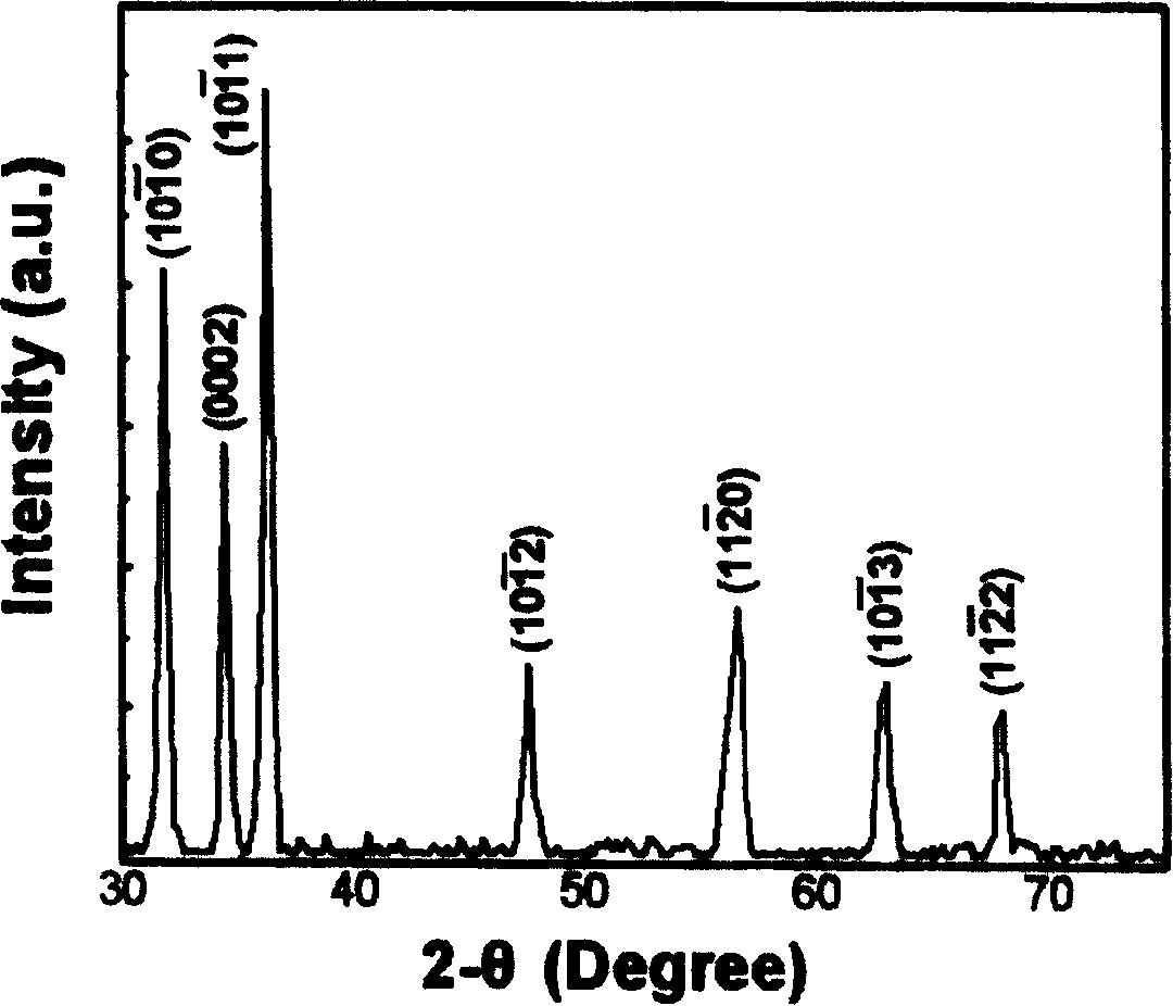 Method of growing nano-rod shaped zinc oxide by hydrothermal decomposition