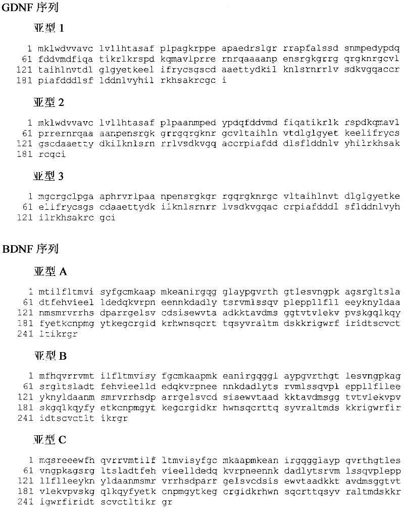 Fusion proteins for delivery of gdnf and bdnf to the central nervous system