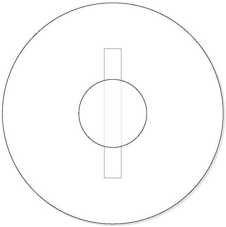 Laser excitation spectrum detection probe and spectrum detection method