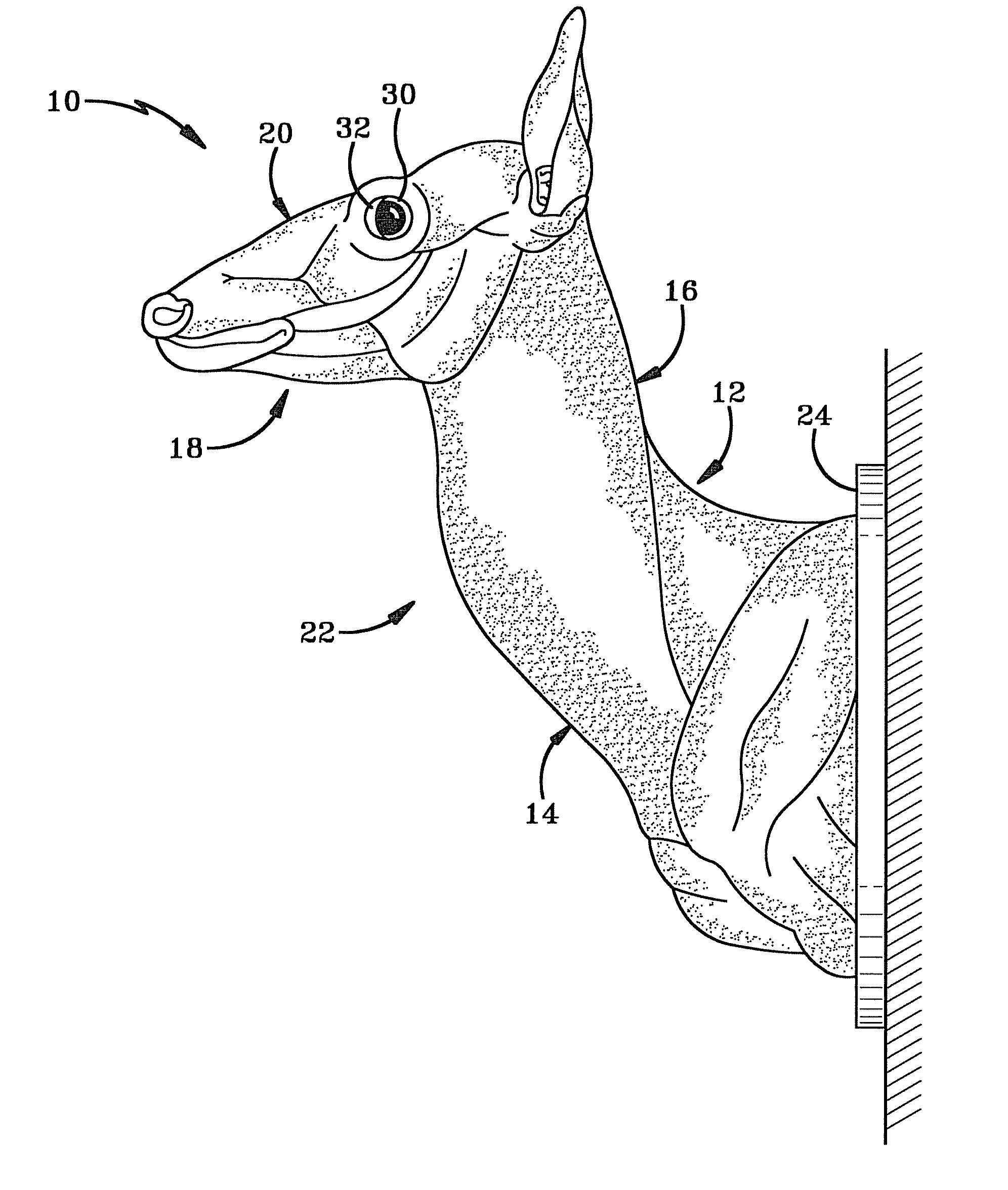 Taxidermy mannequin having interchangeable features