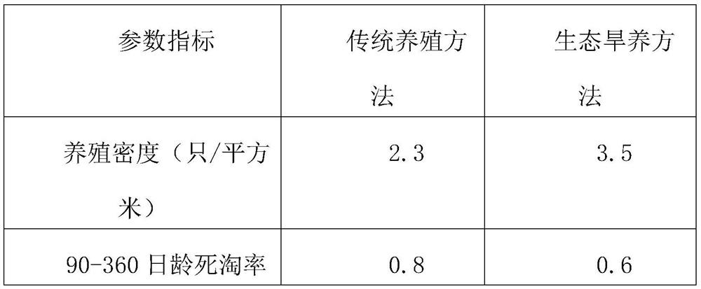 Ecological dry breeding method for laying ducks