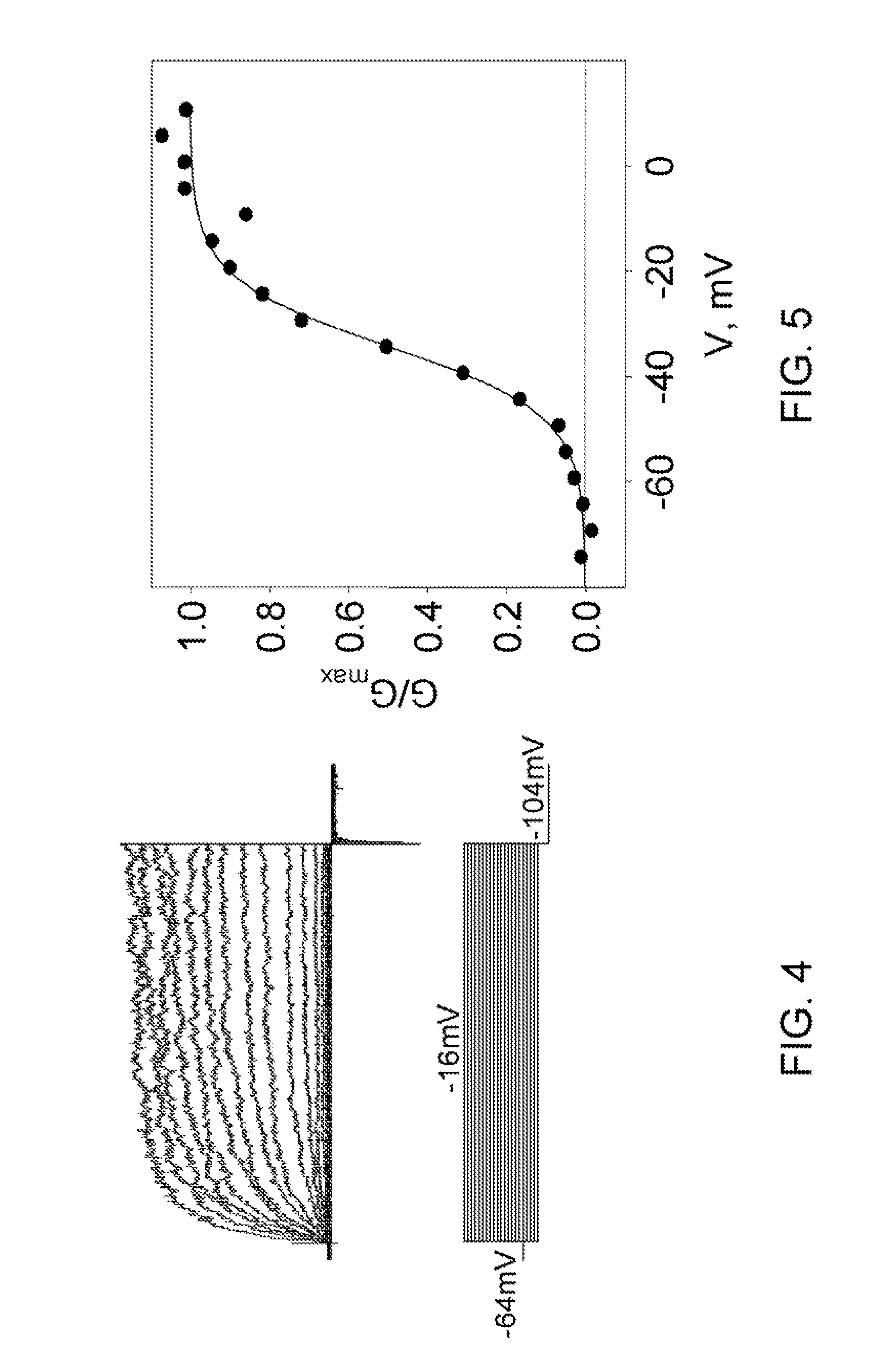 Methods of using proteinacious channels to identify pharmaceutical treatments and risks, and treatments resulting therefrom