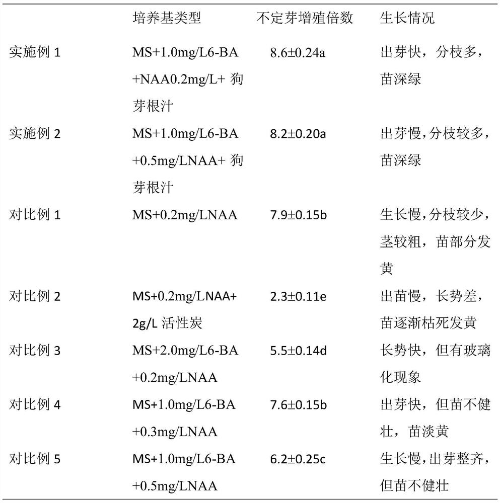 A kind of hydroponic multiplication method of tissue culture seedlings