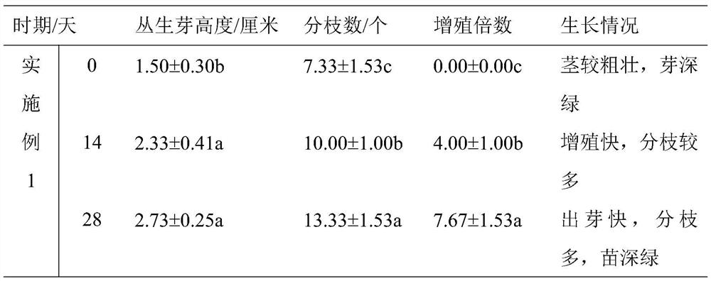 A kind of hydroponic multiplication method of tissue culture seedlings