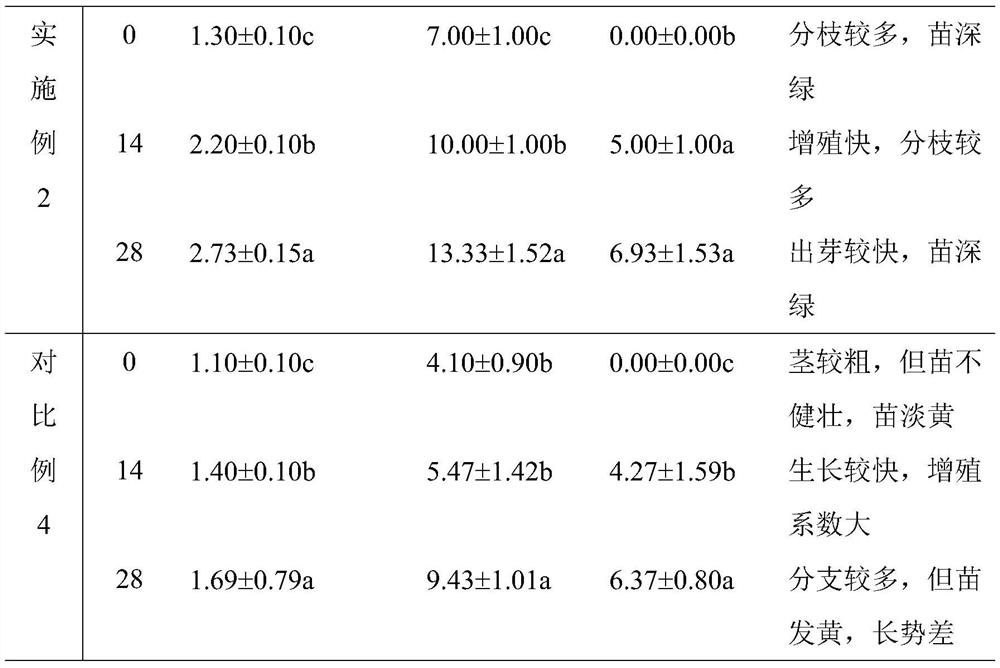 A kind of hydroponic multiplication method of tissue culture seedlings