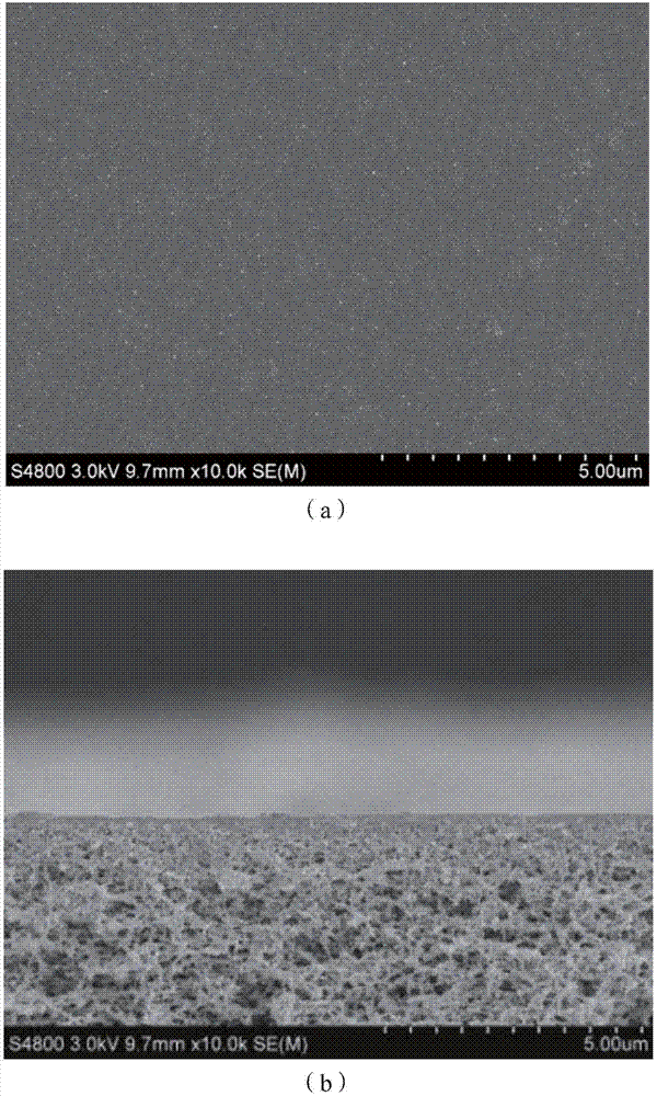 Phenol-amine alternately-assembled composite nano-filtration film and preparation method thereof