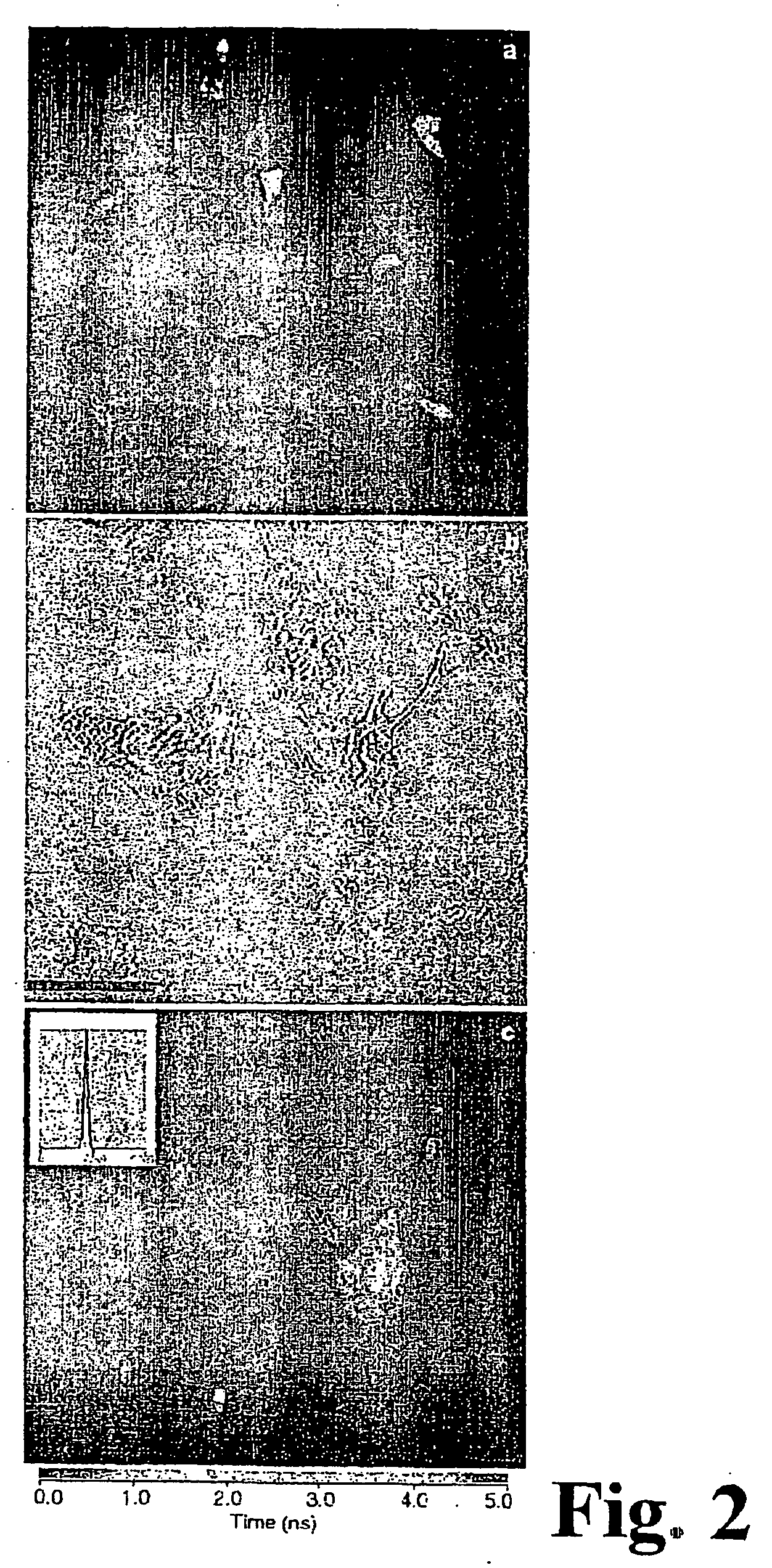 Method for transferring molecules in vital cells by means of laser beams and arrangement for carrying out said method