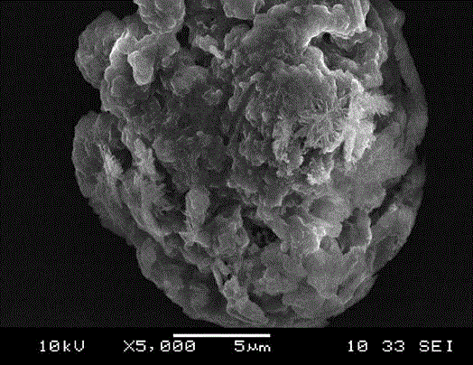 Synthetic method of sulfo bagasse xylan phthalate