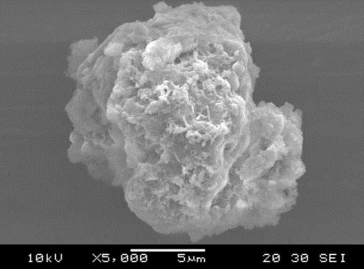 Synthetic method of sulfo bagasse xylan phthalate