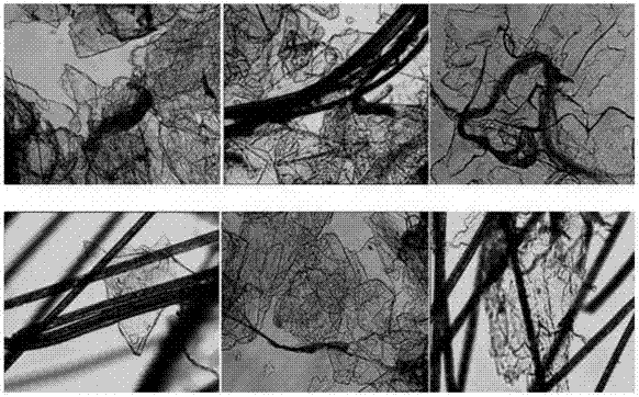 A kind of aromatic polyoxadiazole fiber mica insulating paper and its preparation method and application