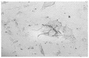 A kind of aromatic polyoxadiazole fiber mica insulating paper and its preparation method and application