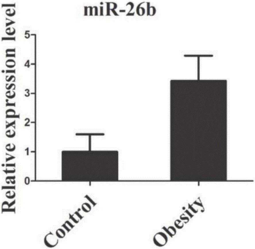 Childhood obesity-related serum or plasma miRNA markers and use thereof