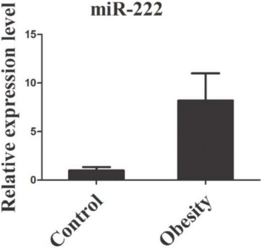 Childhood obesity-related serum or plasma miRNA markers and use thereof