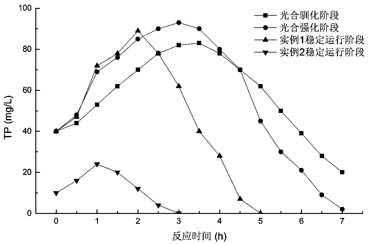 A kind of enhanced biological phosphorus removal method