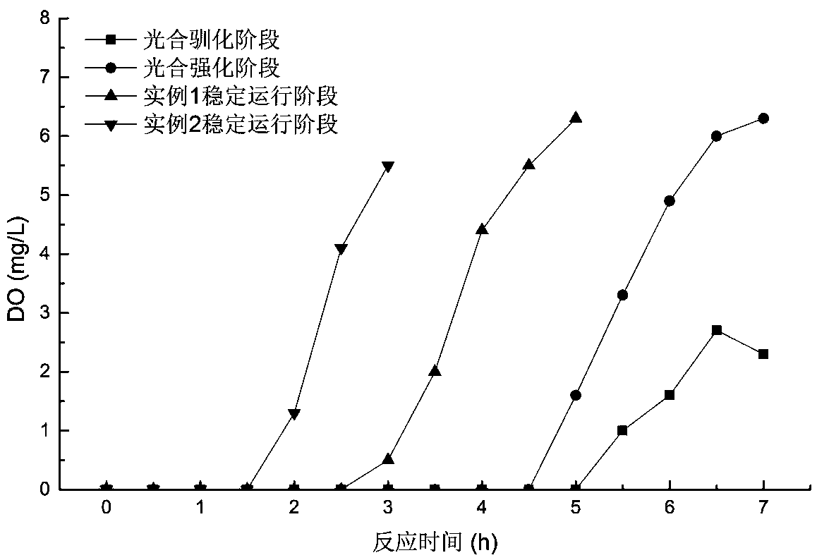 A kind of enhanced biological phosphorus removal method