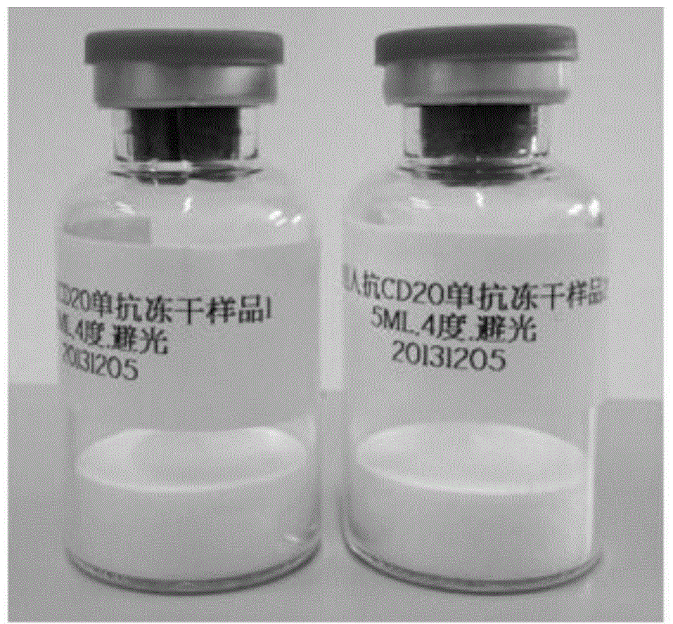 Stable lyophilized preparation of recombinant human anti-CD20 monoclonal antibody