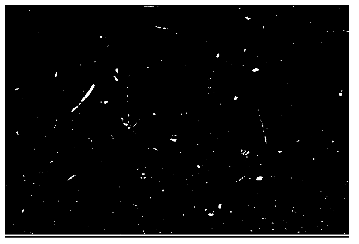 Method for improving agribacterium-mediated transformation survival rate of wheat