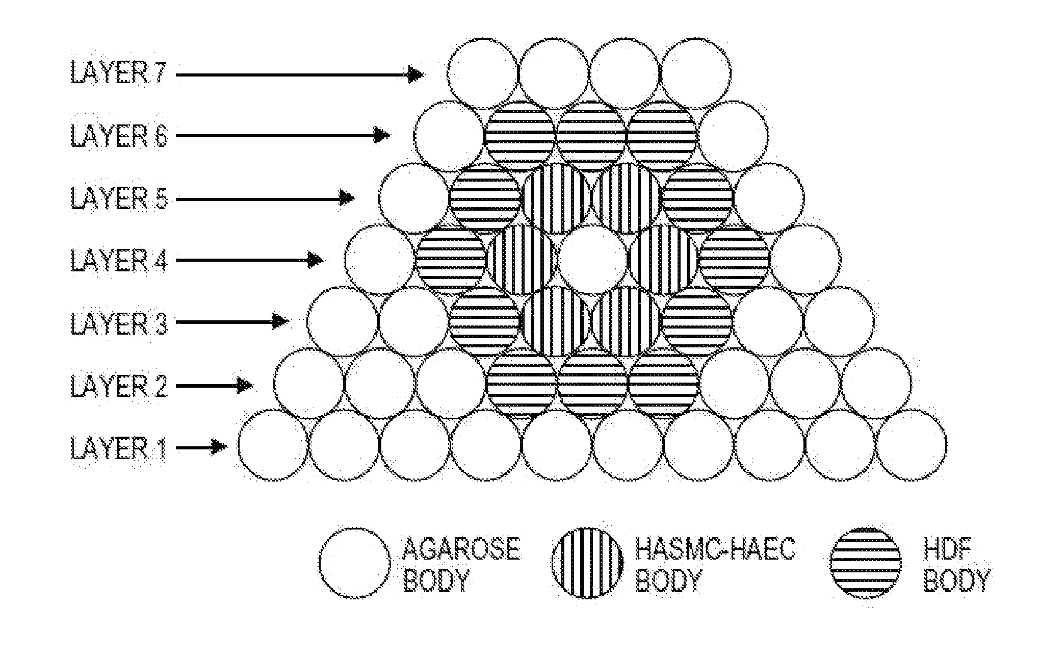 Devices, systems, and methods for the fabrication of tissue utilizing UV cross-linking