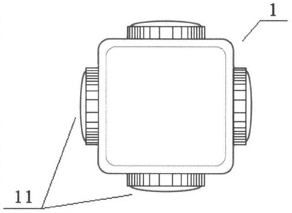 Automobile panorama monitoring system