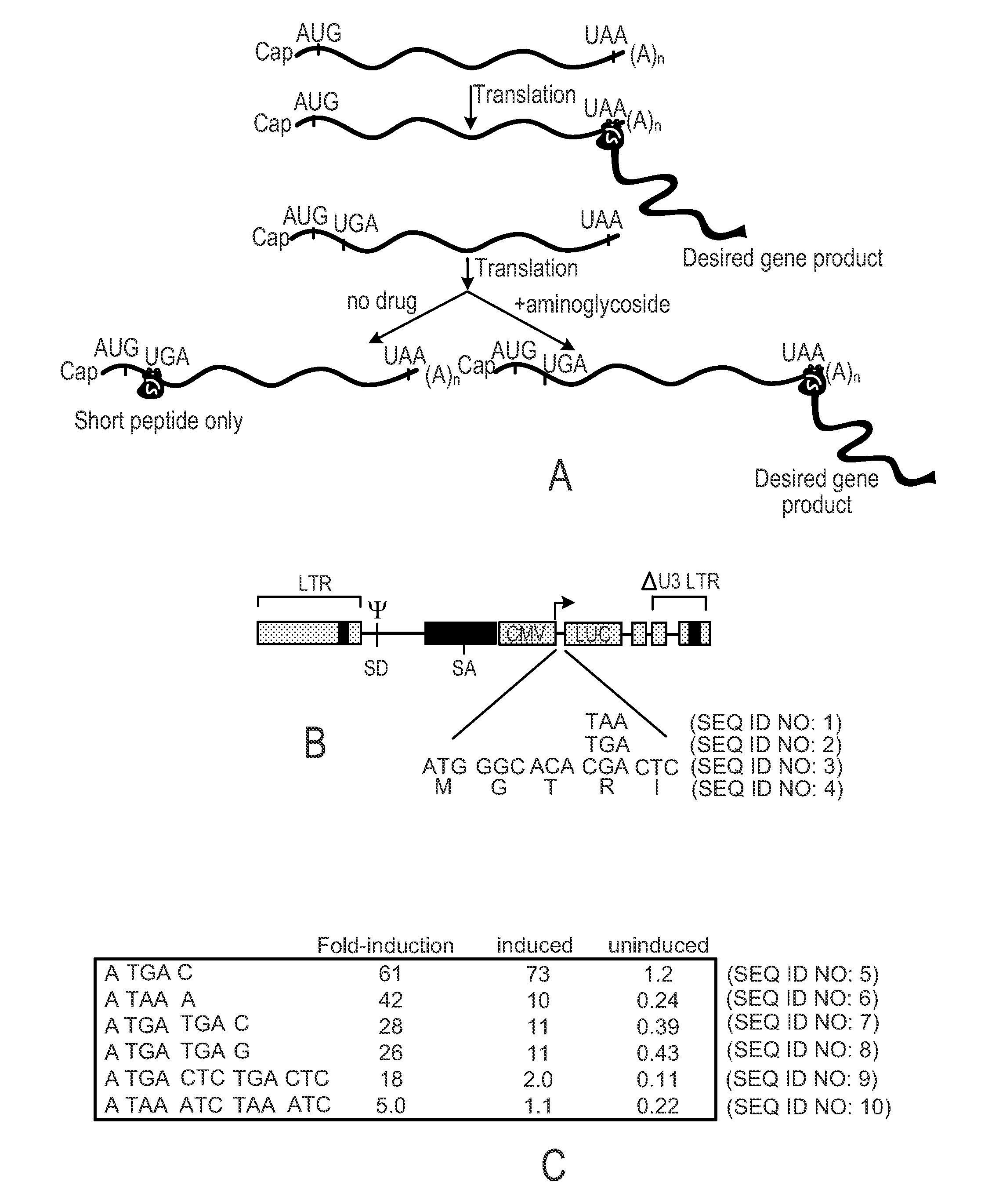 Methods And Compositions For Regulating Gene Expression