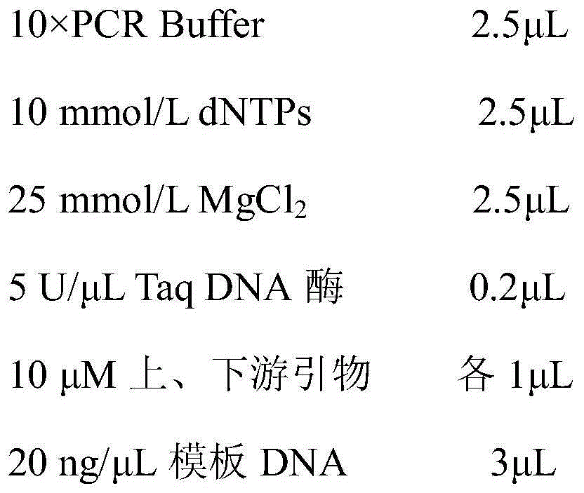 Molecular-specificity labeling primer for oil-tea good-variety longlin 18 and identification method