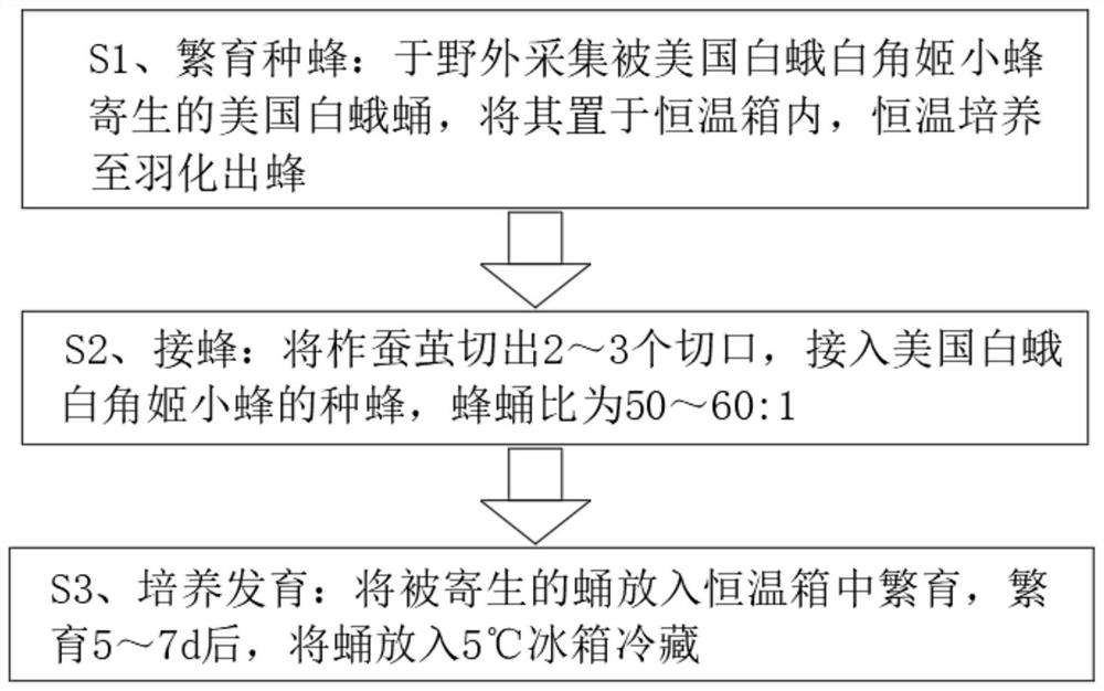 Biological control method for hyphantria cunea