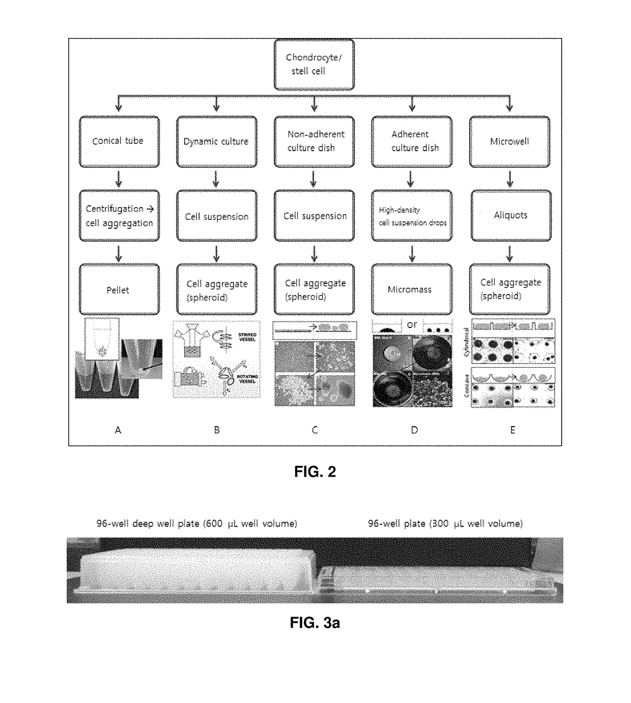 Preparation method for therapeutic agent of bead-type chondrocyte