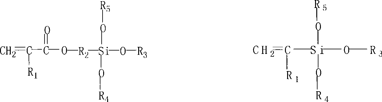 Epoxy organosilicon phosphoester compound modified acrylic resin