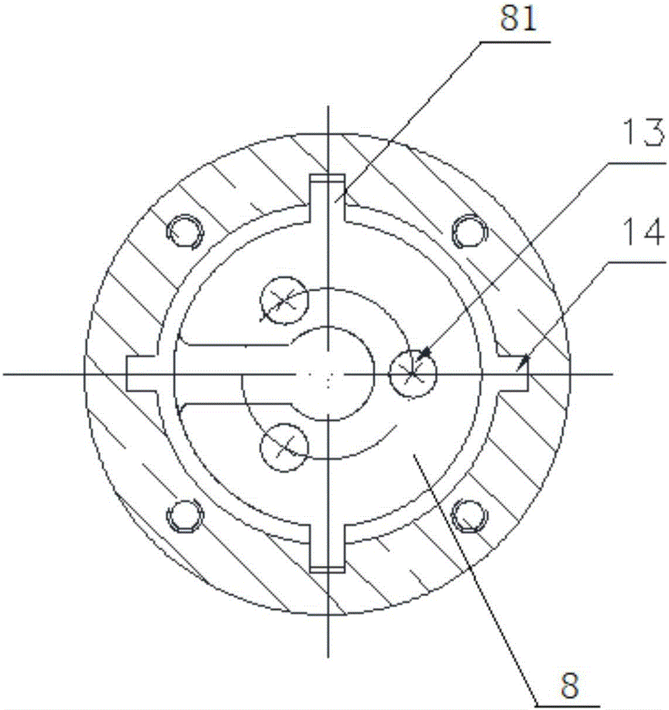 Camera device resistant to impact and collision