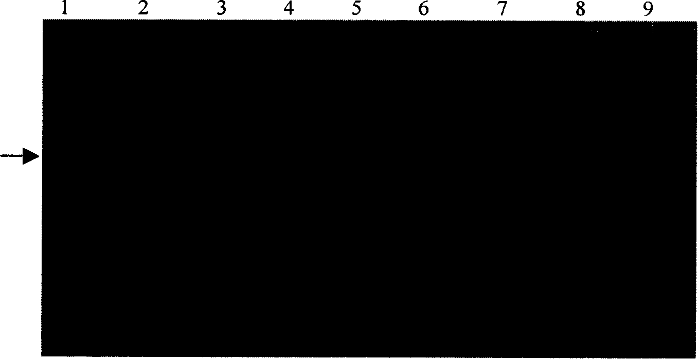 Method for preparing high-purity apolipoprotein A-I