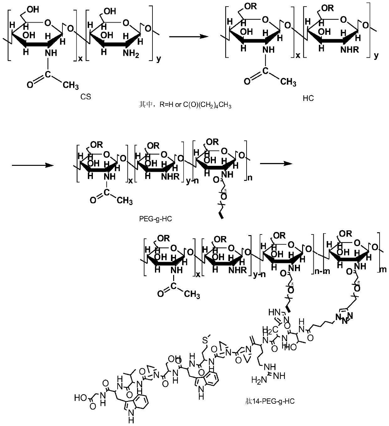 A charge-converting nano drug carrier and its preparation method